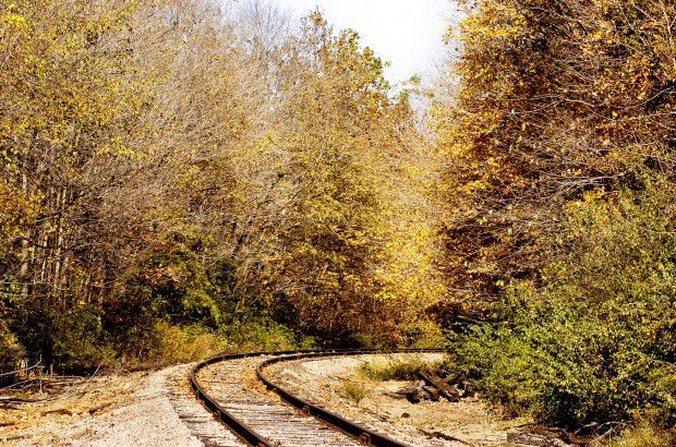 2010: Fall Colors